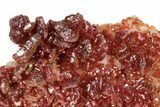 Ruby Red Vanadinite Crystals on Barite - Morocco #223667-1